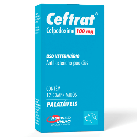SITE - 1000x1000 ALINE -1-.png